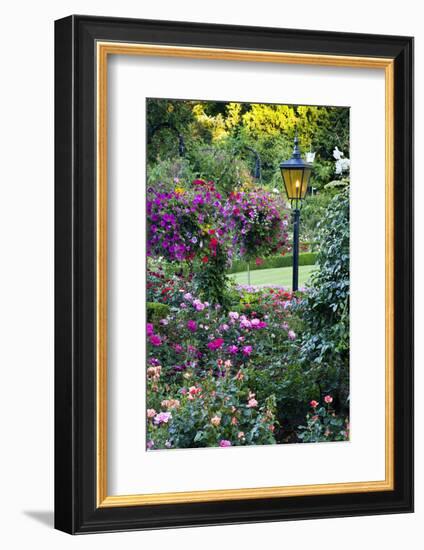 Butchart Gardens in Full Bloom, Victoria, British Columbia, Canada-Terry Eggers-Framed Photographic Print