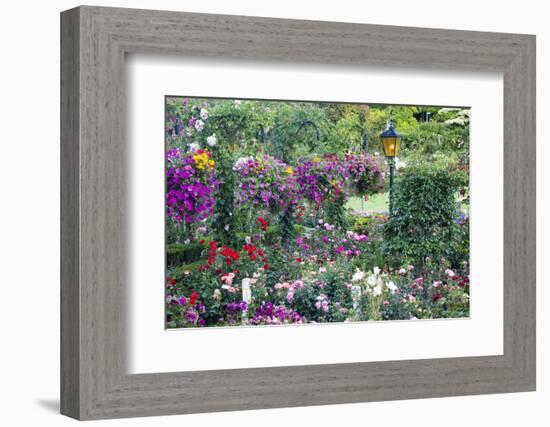 Butchart Gardens in Full Bloom, Victoria, British Columbia, Canada-Terry Eggers-Framed Photographic Print