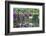 Butchart Gardens in Full Bloom, Victoria, British Columbia, Canada-Terry Eggers-Framed Photographic Print