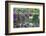 Butchart Gardens in Full Bloom, Victoria, British Columbia, Canada-Terry Eggers-Framed Photographic Print