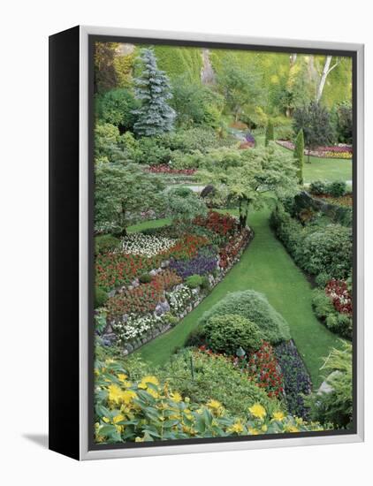 Butchart Gardens, Victoria, Canada-null-Framed Premier Image Canvas