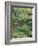 Butchart Gardens, Victoria, Canada-null-Framed Photographic Print