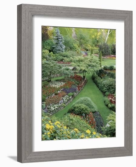 Butchart Gardens, Victoria, Canada-null-Framed Photographic Print