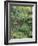 Butchart Gardens, Victoria, Canada-null-Framed Photographic Print