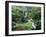 Butchart Gardens, Victoria, Canada-null-Framed Photographic Print