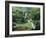 Butchart Gardens, Victoria, Canada-null-Framed Photographic Print