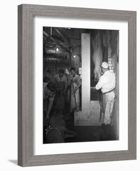 Butchery Factory, Rawmarsh, South Yorkshire, 1955-Michael Walters-Framed Photographic Print