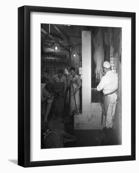 Butchery Factory, Rawmarsh, South Yorkshire, 1955-Michael Walters-Framed Photographic Print