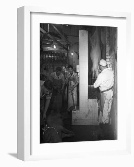 Butchery Factory, Rawmarsh, South Yorkshire, 1955-Michael Walters-Framed Photographic Print