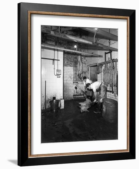 Butchery Factory, Rawmarsh, South Yorkshire, 1955-Michael Walters-Framed Photographic Print