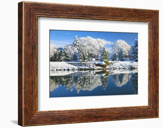 Bute Park in snow, Cardiff, Wales, United Kingdom, Europe-Billy Stock-Framed Photographic Print