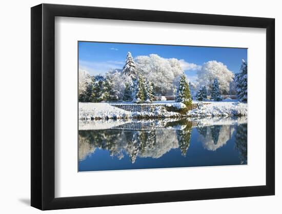 Bute Park in snow, Cardiff, Wales, United Kingdom, Europe-Billy Stock-Framed Photographic Print