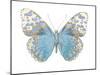Buterfly with Indigo-Julia Bosco-Mounted Art Print