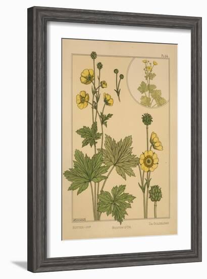 Butter-Cup-null-Framed Giclee Print