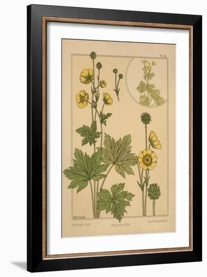 Butter-Cup-null-Framed Giclee Print