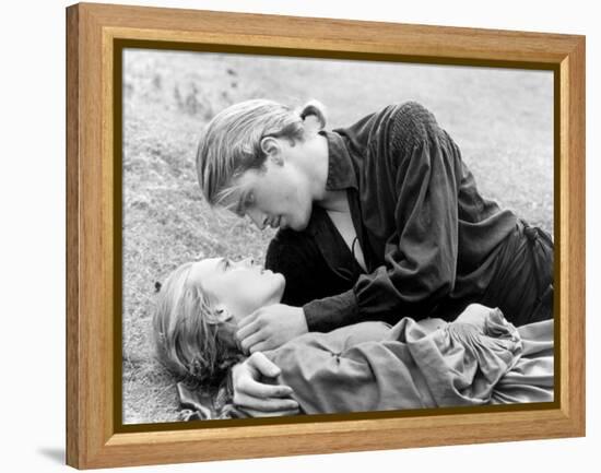 Buttercup and Westley Laying on the Grass-null-Framed Stretched Canvas