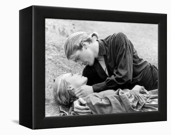 Buttercup and Westley Laying on the Grass-null-Framed Stretched Canvas