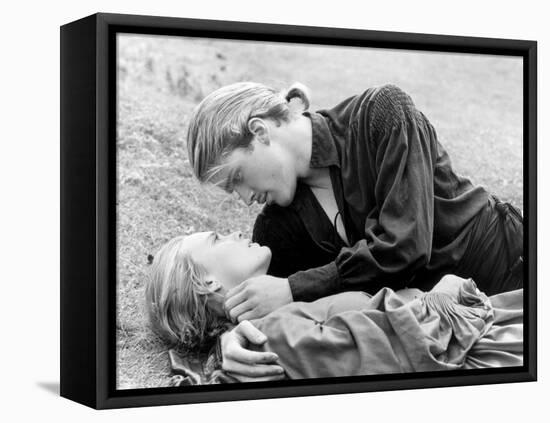 Buttercup and Westley Laying on the Grass-null-Framed Stretched Canvas