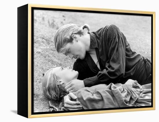 Buttercup and Westley Laying on the Grass-null-Framed Stretched Canvas