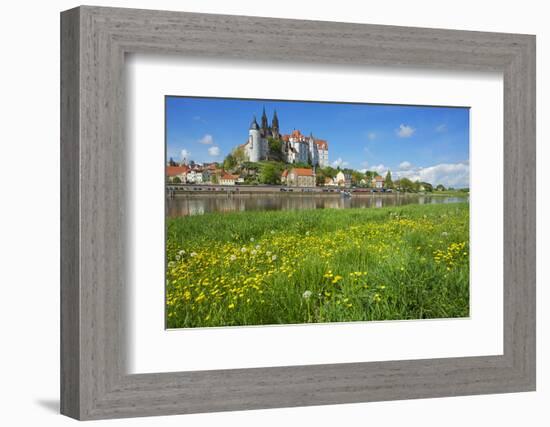 Buttercup Meadow at the Elbe in Front of Albrechtsburg and Cathedral in Mei§en-Uwe Steffens-Framed Photographic Print