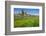 Buttercup Meadow at the Elbe in Front of Albrechtsburg and Cathedral in Mei§en-Uwe Steffens-Framed Photographic Print