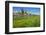 Buttercup Meadow at the Elbe in Front of Albrechtsburg and Cathedral in Mei§en-Uwe Steffens-Framed Photographic Print