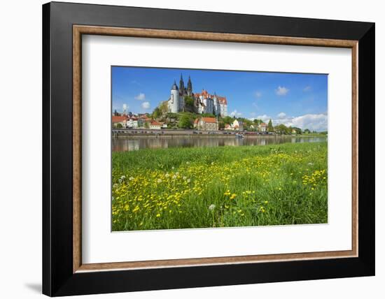 Buttercup Meadow at the Elbe in Front of Albrechtsburg and Cathedral in Mei§en-Uwe Steffens-Framed Photographic Print