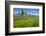 Buttercup Meadow at the Elbe in Front of Albrechtsburg and Cathedral in Mei§en-Uwe Steffens-Framed Photographic Print