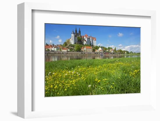 Buttercup Meadow at the Elbe in Front of Albrechtsburg and Cathedral in Mei§en-Uwe Steffens-Framed Photographic Print