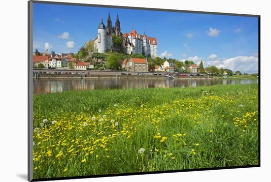 Buttercup Meadow at the Elbe in Front of Albrechtsburg and Cathedral in Mei§en-Uwe Steffens-Mounted Photographic Print