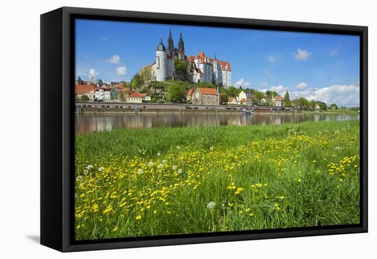 Buttercup Meadow at the Elbe in Front of Albrechtsburg and Cathedral in Mei§en-Uwe Steffens-Framed Premier Image Canvas