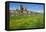 Buttercup Meadow at the Elbe in Front of Albrechtsburg and Cathedral in Mei§en-Uwe Steffens-Framed Premier Image Canvas