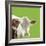 Buttercup-Linda Wood-Framed Giclee Print