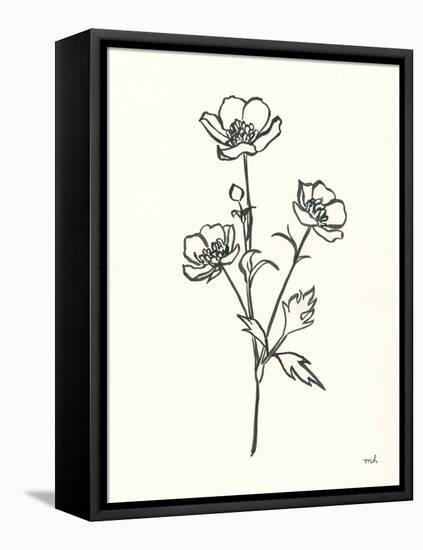 Buttercup-Moira Hershey-Framed Stretched Canvas