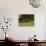 Buttercups and Cantilever Barn, Pioneer Homestead, Great Smoky Mountains National Park, N. Carolina-Adam Jones-Photographic Print displayed on a wall