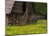 Buttercups and Cantilever Barn, Pioneer Homestead, Great Smoky Mountains National Park, N. Carolina-Adam Jones-Mounted Photographic Print