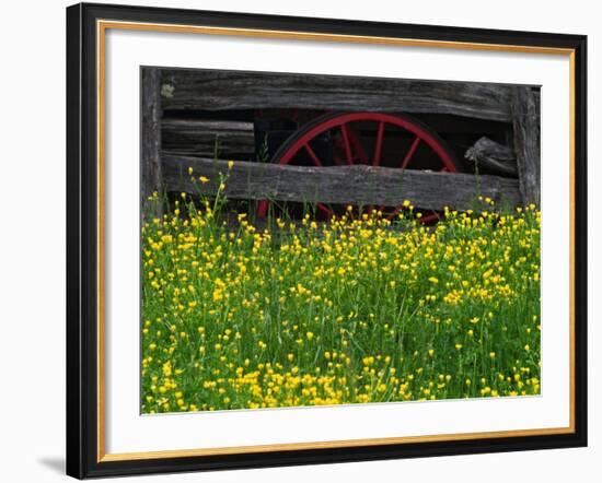 Buttercups and Wagon Wheel, Pioneer Homestead, Great Smoky Mountains National Park, North Carolina-Adam Jones-Framed Photographic Print