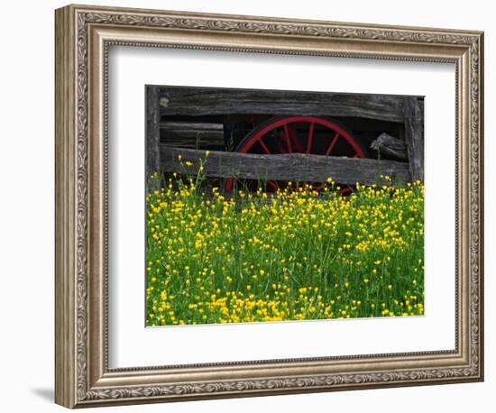 Buttercups and Wagon Wheel, Pioneer Homestead, Great Smoky Mountains National Park, North Carolina-Adam Jones-Framed Photographic Print