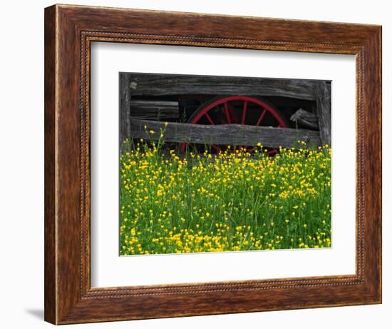 Buttercups and Wagon Wheel, Pioneer Homestead, Great Smoky Mountains National Park, North Carolina-Adam Jones-Framed Photographic Print