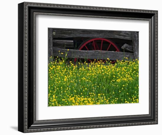 Buttercups and Wagon Wheel, Pioneer Homestead, Great Smoky Mountains National Park, North Carolina-Adam Jones-Framed Photographic Print