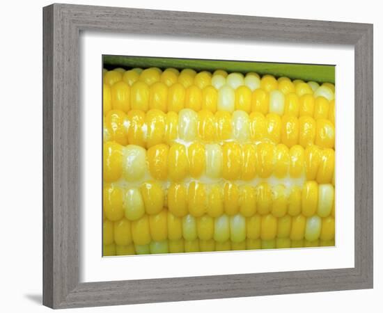 Buttered Sweet Corn-Chuck Haney-Framed Photographic Print