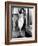 Butterfield 8, Elizabeth Taylor, 1960-null-Framed Photo