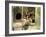 Butterfield 8, Elizabeth Taylor, 1960-null-Framed Photo