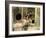 Butterfield 8, Elizabeth Taylor, 1960-null-Framed Photo