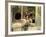 Butterfield 8, Elizabeth Taylor, 1960-null-Framed Photo