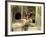 Butterfield 8, Elizabeth Taylor, 1960-null-Framed Photo