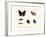 Butterflies, 1783-1806-null-Framed Giclee Print