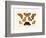 Butterflies, 1783-1806-null-Framed Giclee Print