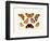 Butterflies, 1783-1806-null-Framed Giclee Print