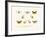 Butterflies, 1783-1806-null-Framed Giclee Print